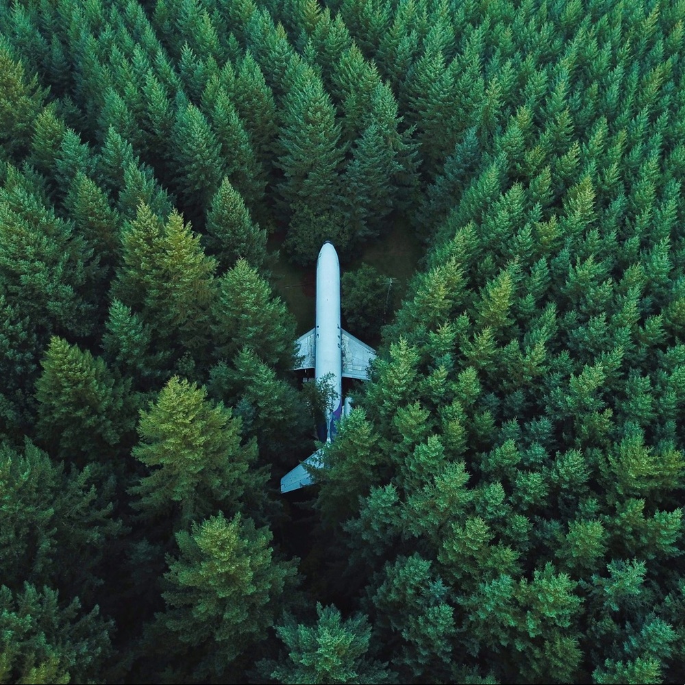 FIND THE BRAND
